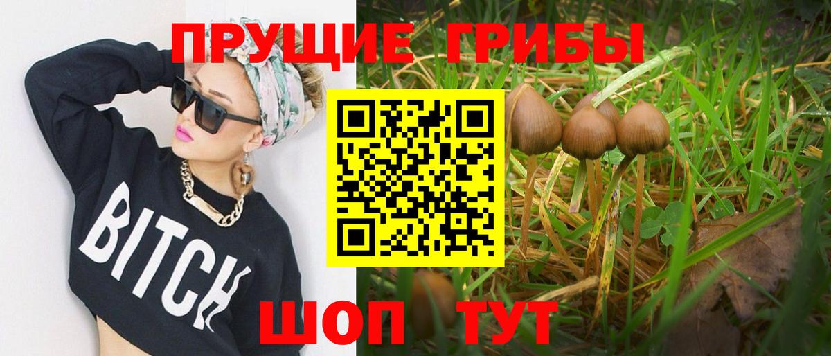 купить  цена  Вход с VPN  Фрязино  Галлюциногенные грибы мухоморы 