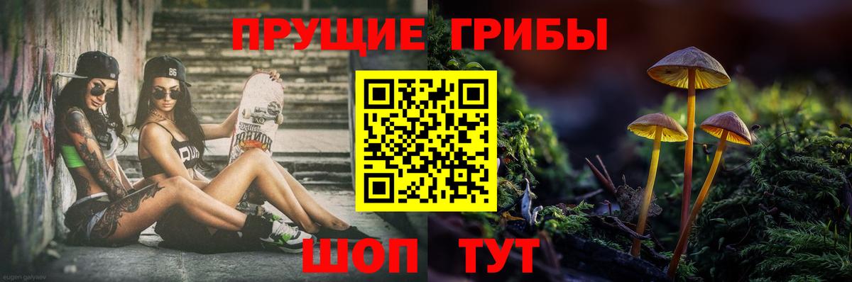 Псилоцибиновые грибы прущие грибы Фрязино